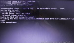 Установка ОС Kali Linux на флешку