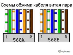 Как правильно обжать интернет-кабель «витая пара» – методики и варианты