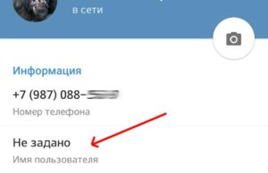 Принцип изменения имени пользователя в приложении «Telegram»