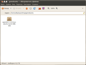 Установка DEB-пакета в Ubuntu