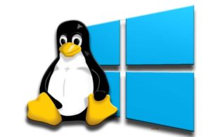 Какая операционная система лучше – Windows или Linux?
