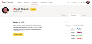 Много можно заработать на Яндекс.Толока и как это сделать