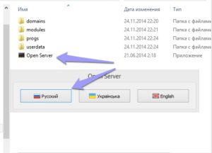 Какой локальный сервер лучше: OpenServer или Denwer