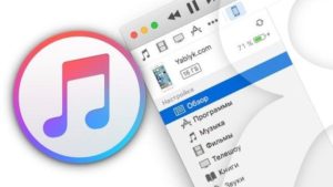 iTunes не видит Айфон – причины и устранение неполадки