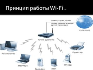 Сетевая карта Wi-Fi: виды, принцип работы и подключение