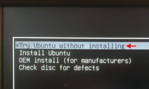 Запуск системы Ubuntu с флешки