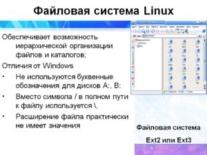 Работа с файлами и директориями в Linux