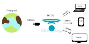 Сетевая карта Wi-Fi: виды, принцип работы и подключение