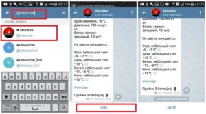 Поиск группы в «Telegram»