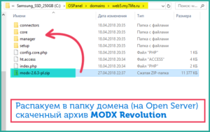 Какой локальный сервер лучше: OpenServer или Denwer