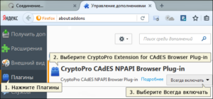 Включение поддержки NPAPI в браузерах Opera и Firefox