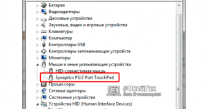 Отображение тачпада в диспетчере устройств