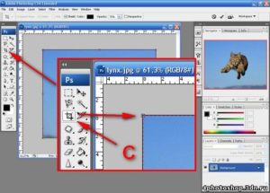 Как В Фотошоп Обрезать Фото Под Размер