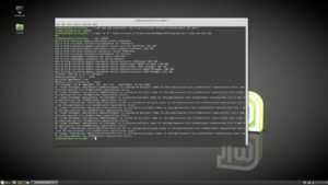 Инструкция по установке Linux Mint с флешки