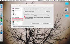Как подключить опцию отключения Trackpad на MacBook при подключении мыши