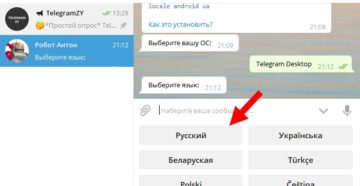 Как работать с ботом Антоном в Telegram