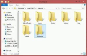 Папка «Inetpub»: назначение и процесс удаления